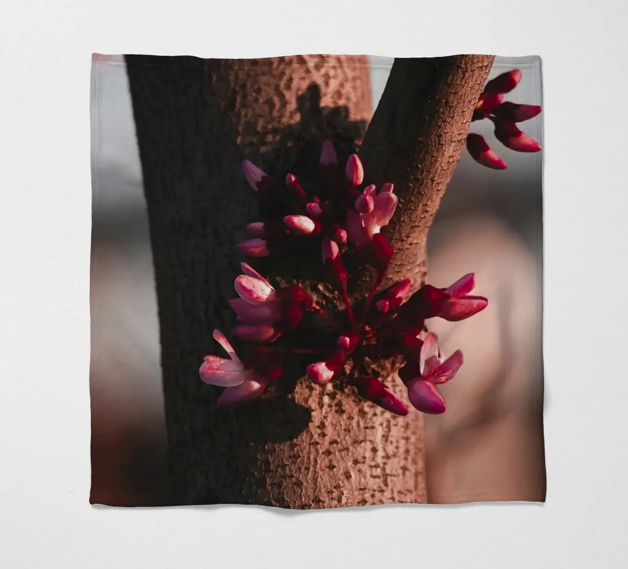 tronco d'albero coperta in pile da Earthly Visions