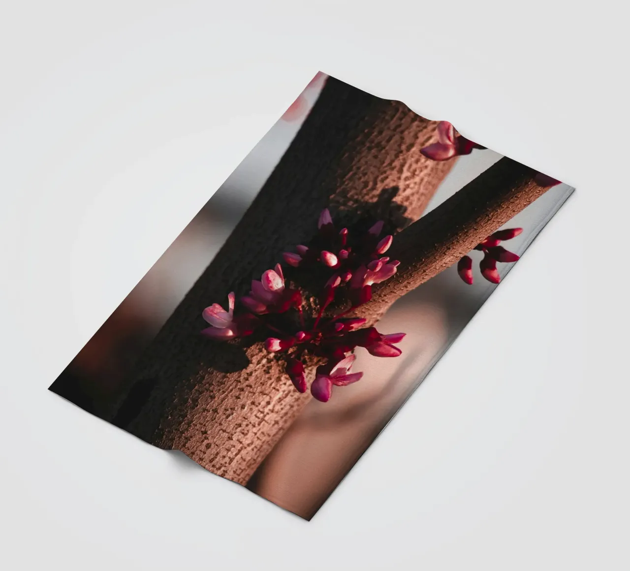tronco d'albero coperta in pile da Earthly Visions