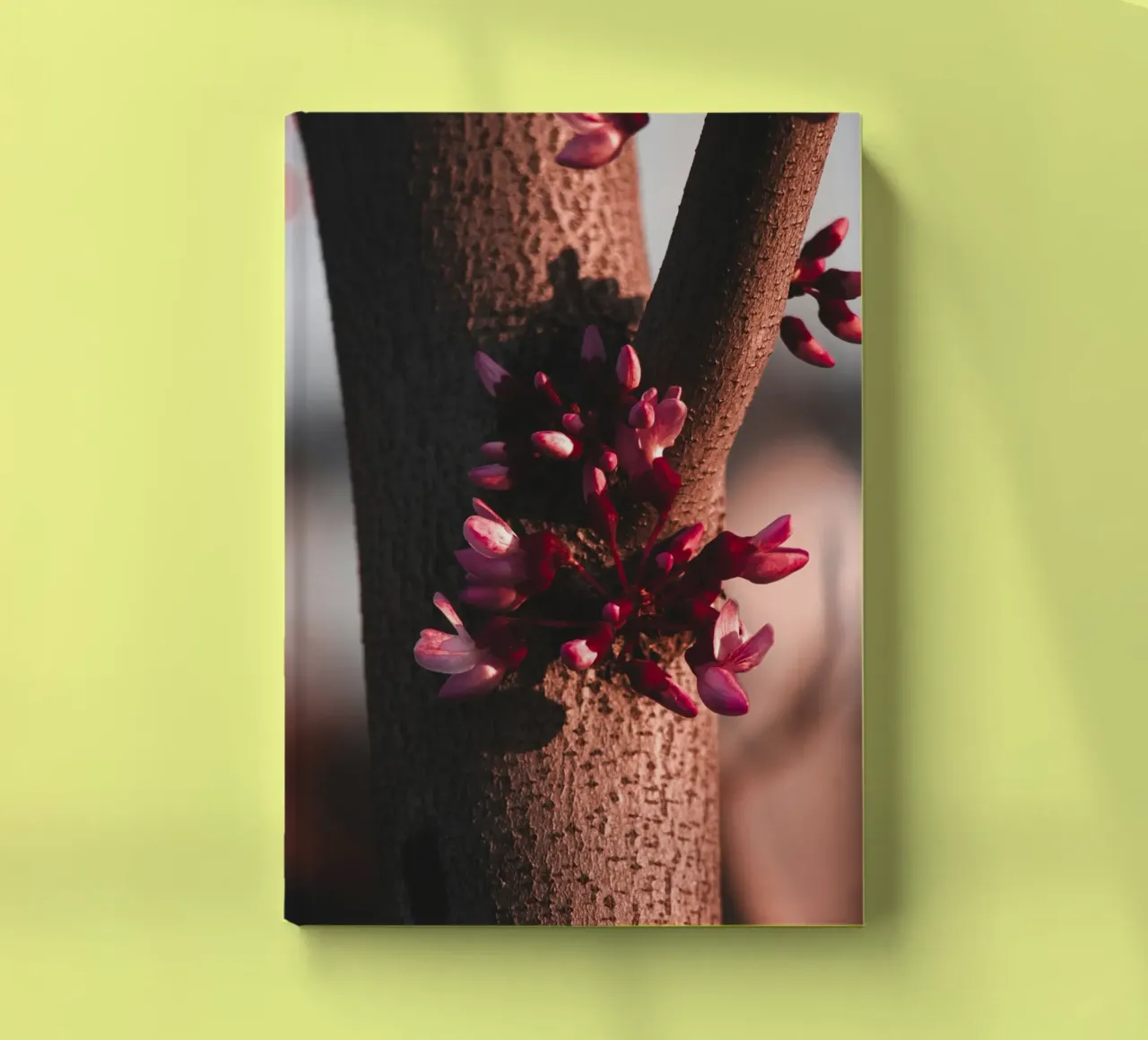 tronco d'albero diario da Earthly Visions