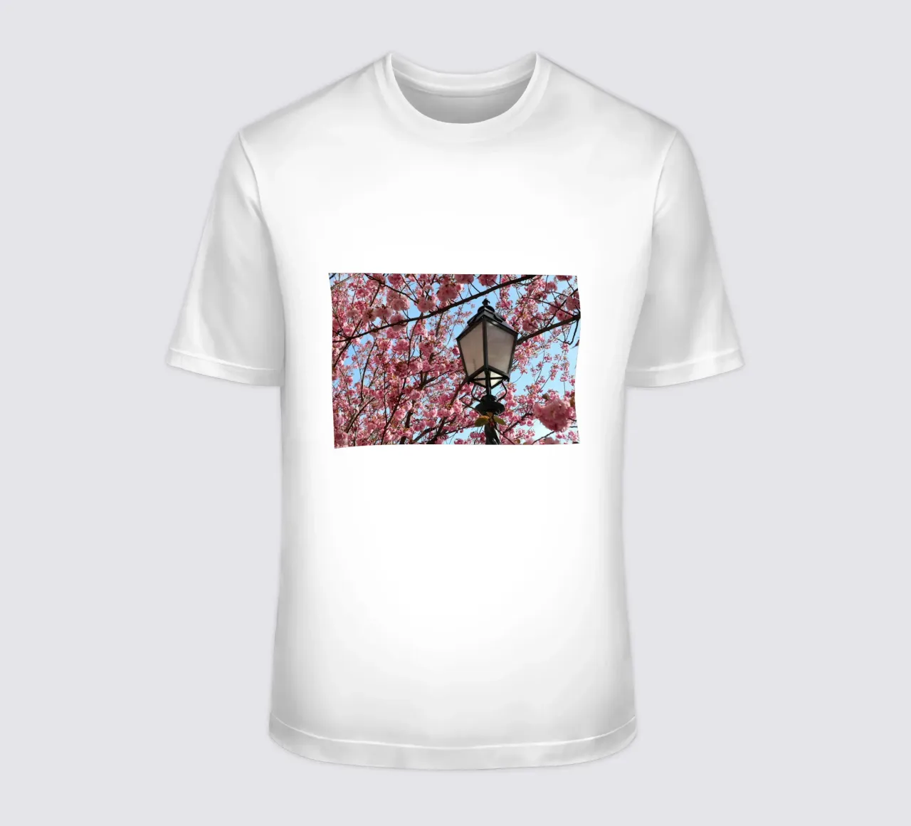 lampione con fiori di ciliegio t-shirt da Earthly Visions
