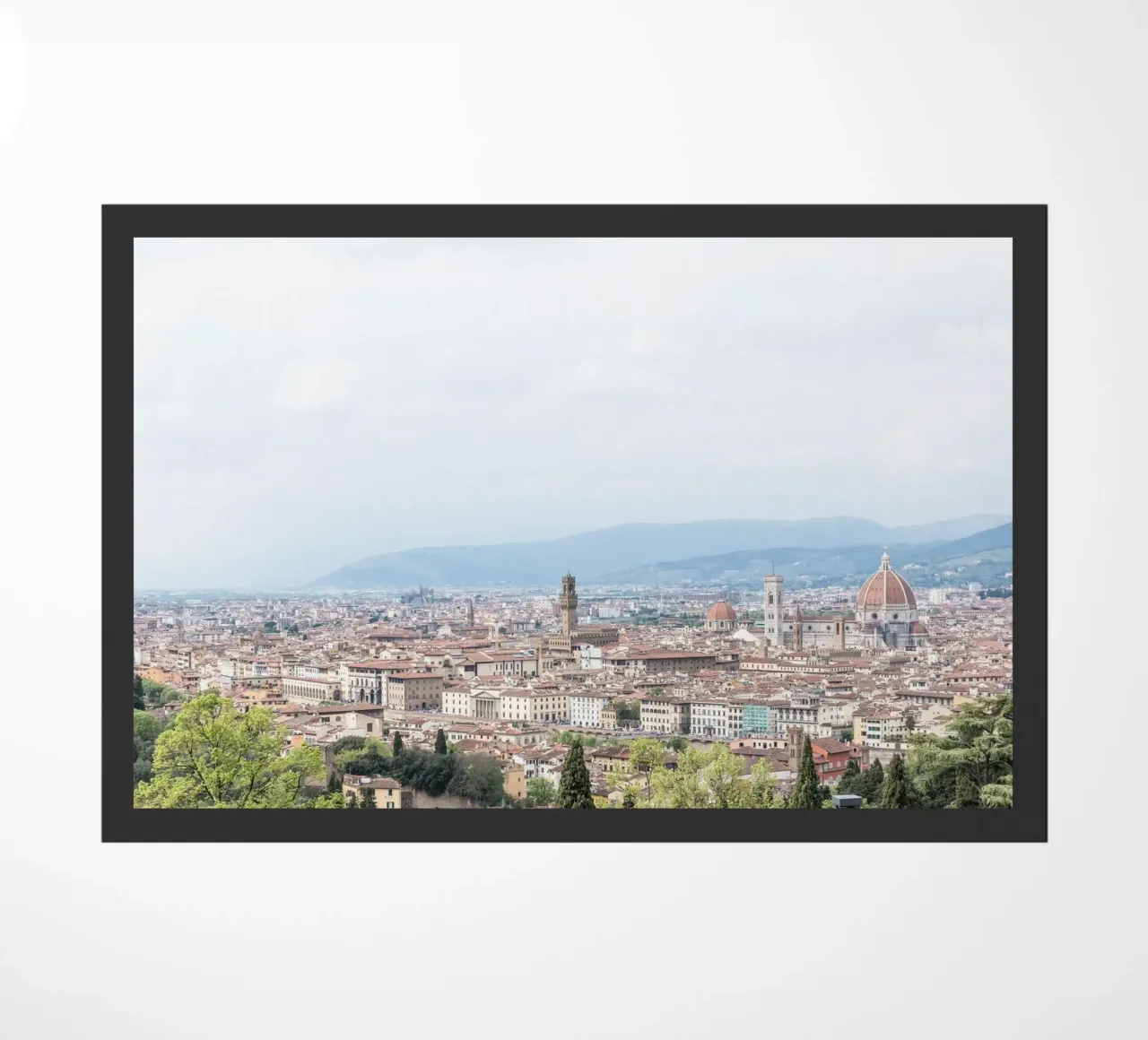 View of Florence zerbino da photolovers