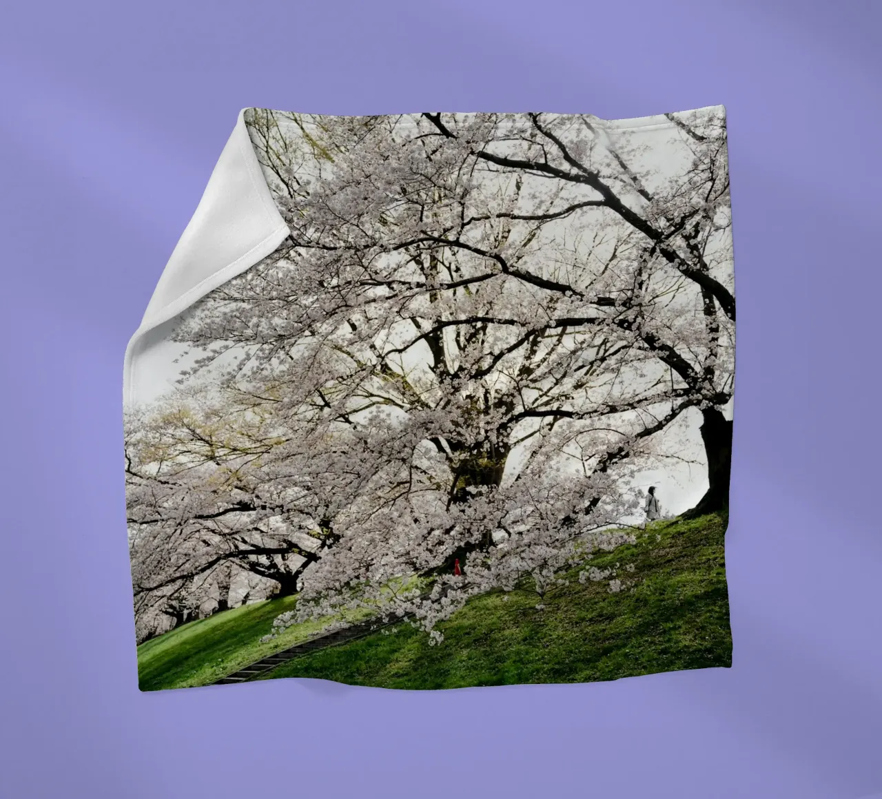 ciliegio in fiore coperta in pile da Earthly Visions