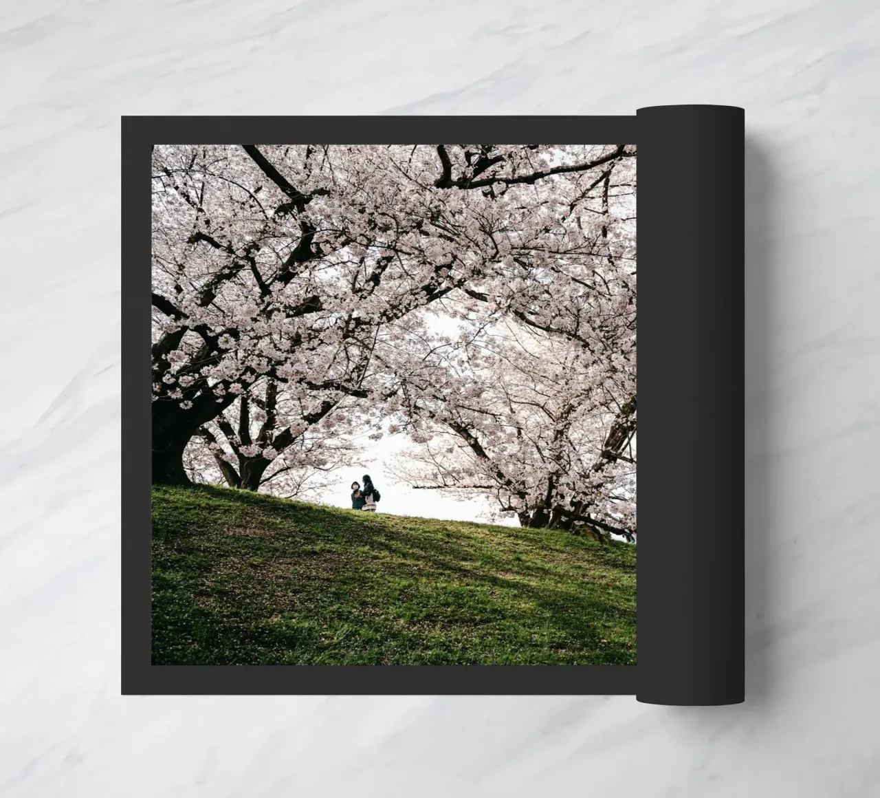 alberi in fiore zerbino da Earthly Visions
