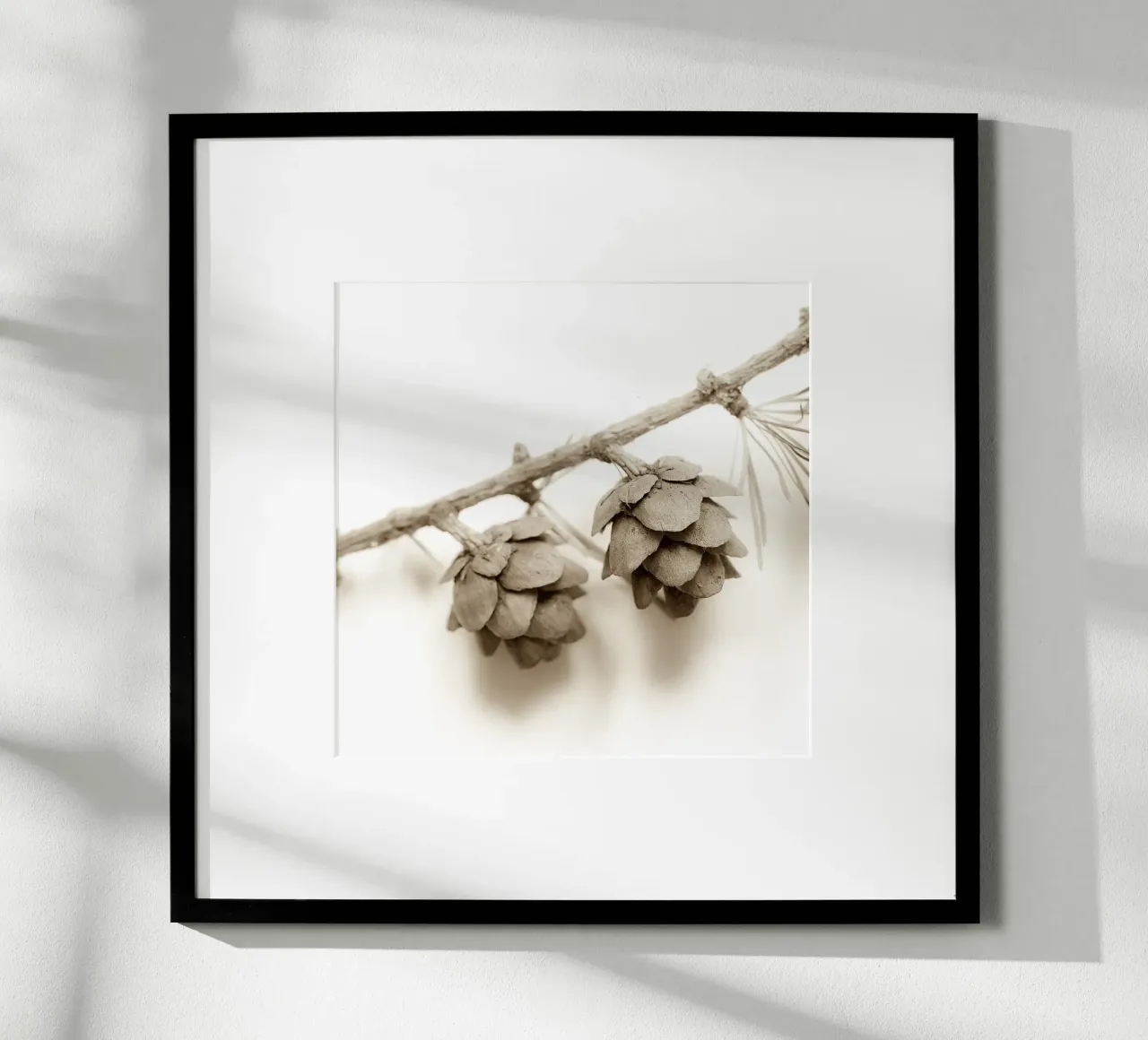 Coni di larice in seppia poster con telaio in legno da PhotoVibe Decor