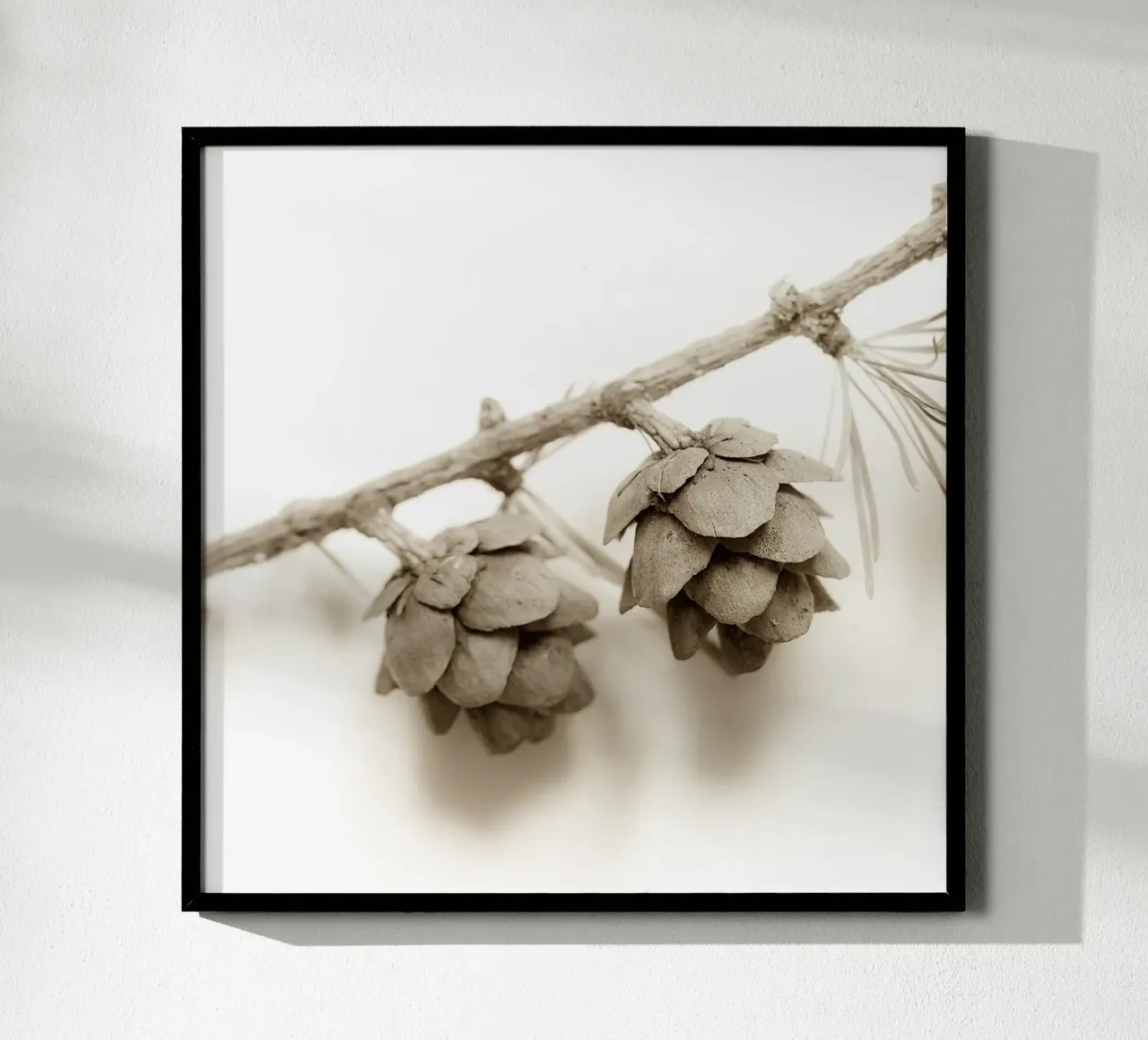 Coni di larice in seppia poster con telaio in legno da PhotoVibe Decor