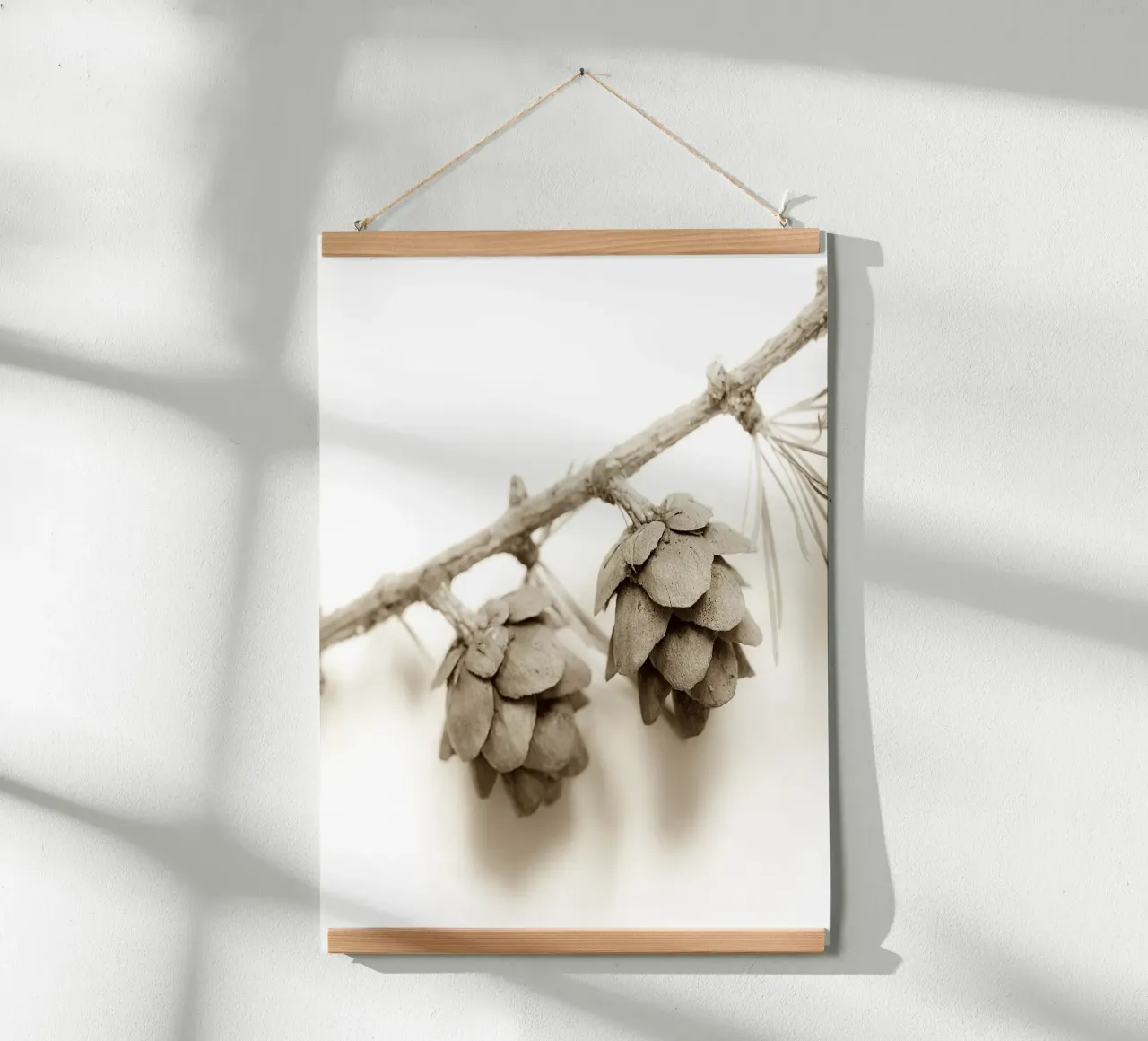 Coni di larice in seppia poster con telaio in legno da PhotoVibe Decor