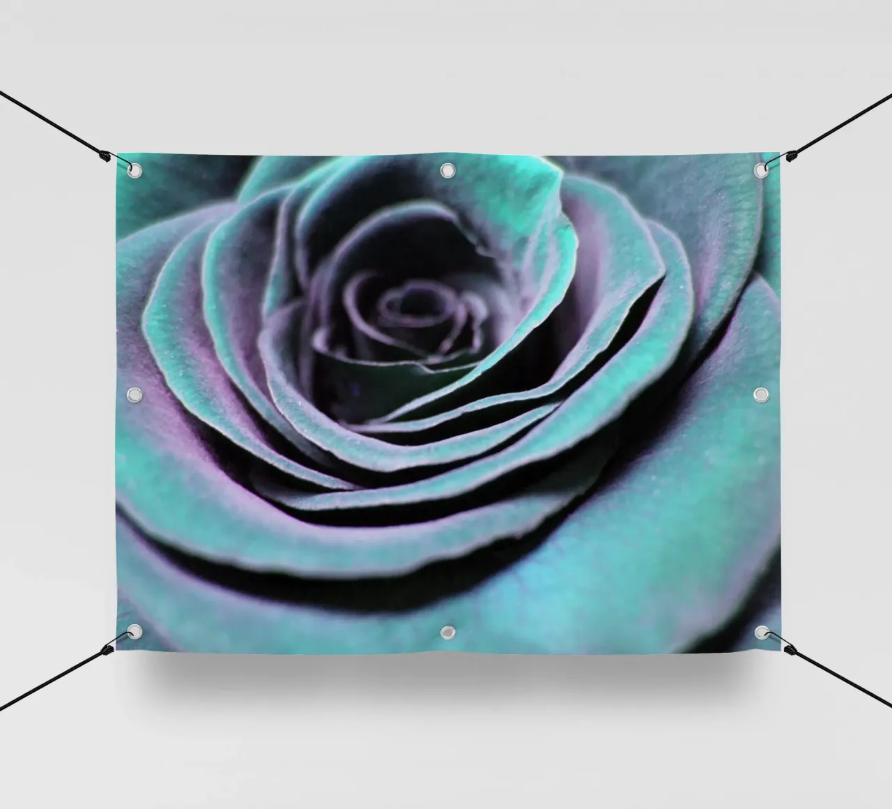 Rosa cangiante telo in pvc da PhotoVibe Decor