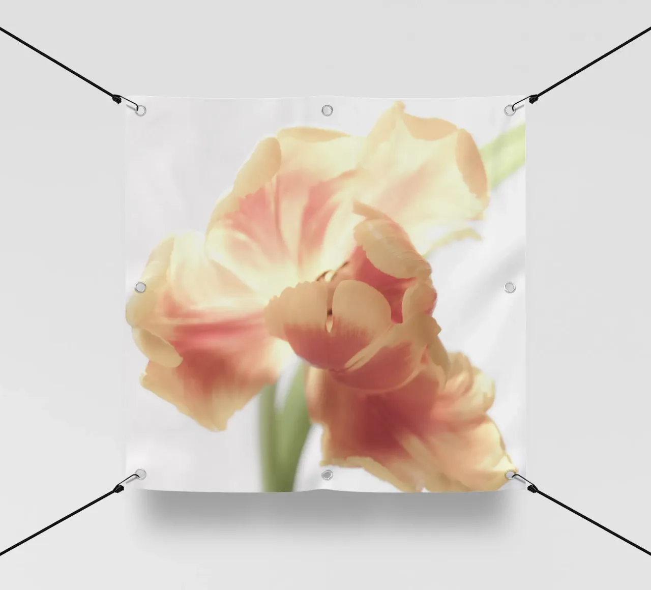 Tulipano arancione telo in pvc da PhotoVibe Decor