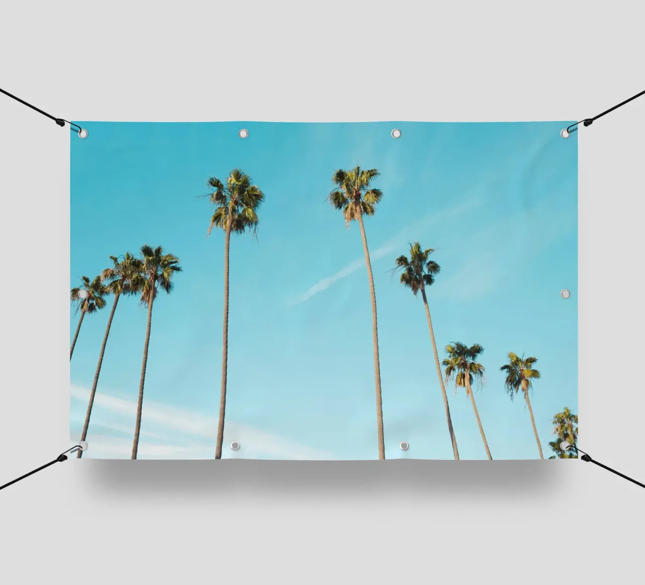Palme perfette telo in pvc da PhotoVibe Decor