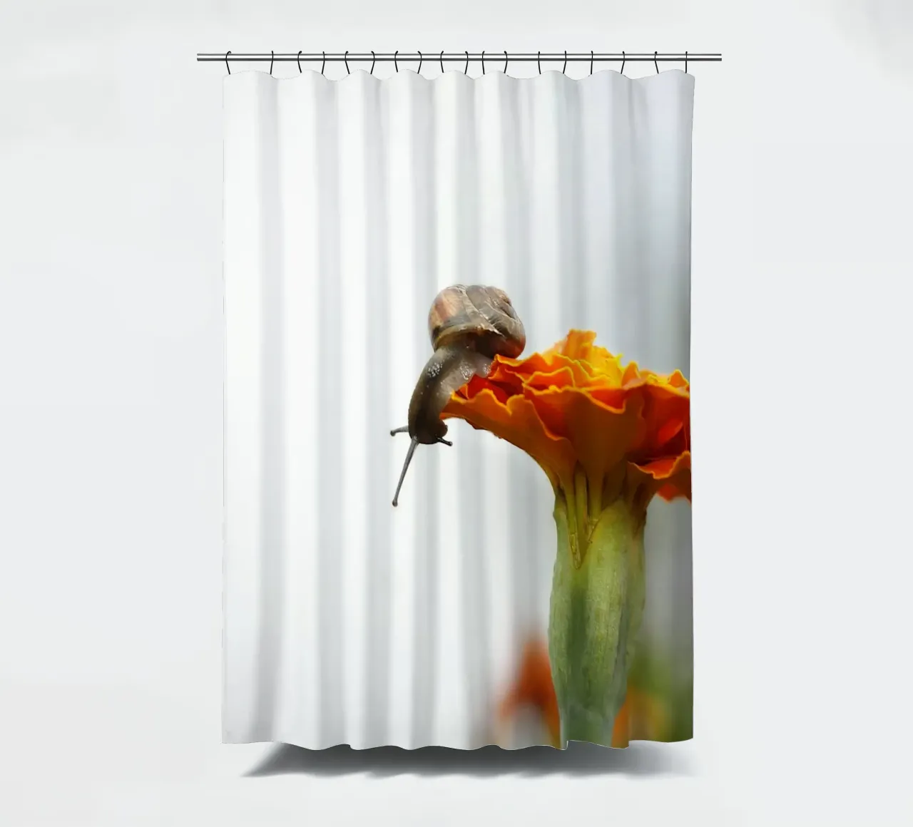 Lumaca su calendula tenda da doccia da PhotoVibe Decor