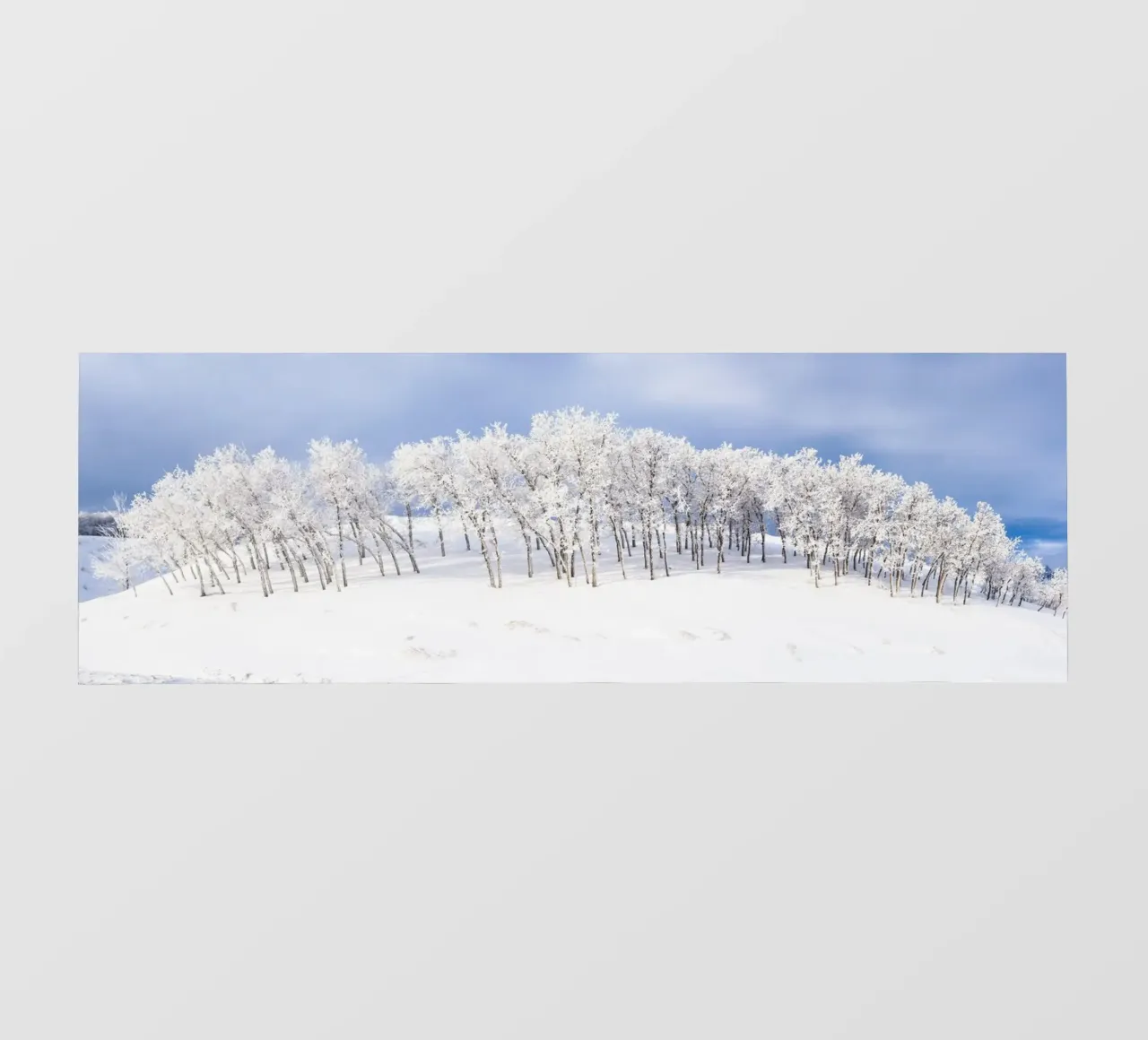 Alberi smerigliati su un pendio invernale telo in pvc da PhotoVibe Decor