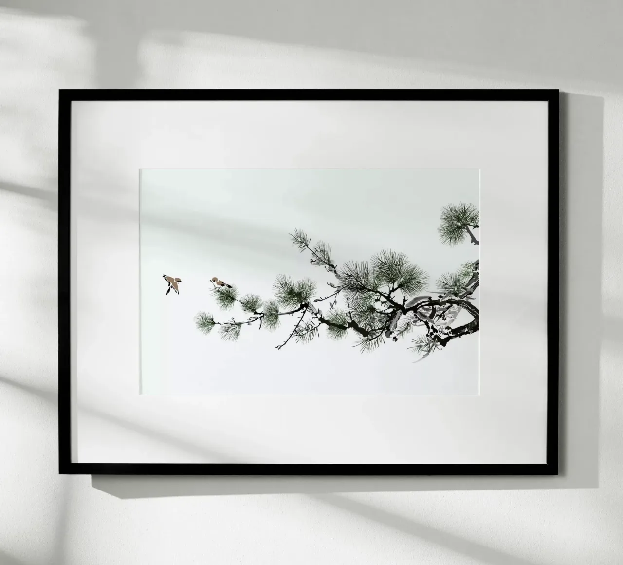 Birds and Pine II carta hahnemühle da Flora & Fauna