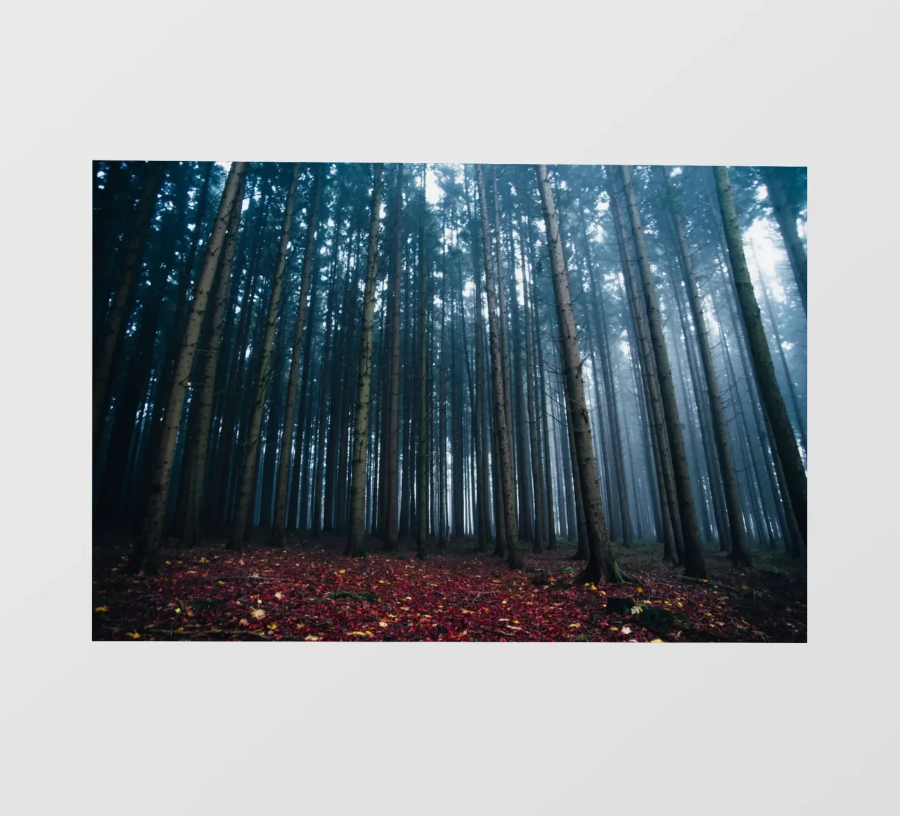 Sussurri attraverso i pini telo in pvc da PhotoVibe Decor