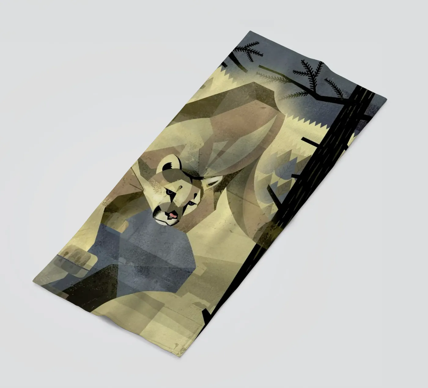 Mountain Lion telo mare da Dieter Braun