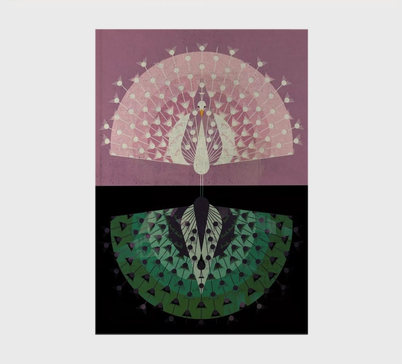 Peacock notebook by Dieter Braun