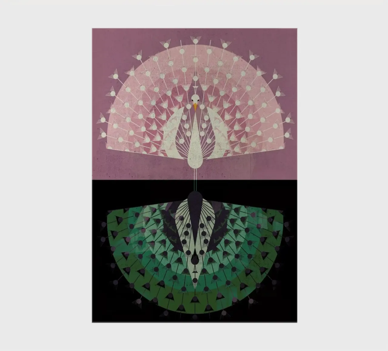 Peacock Notizbuch von Dieter Braun
