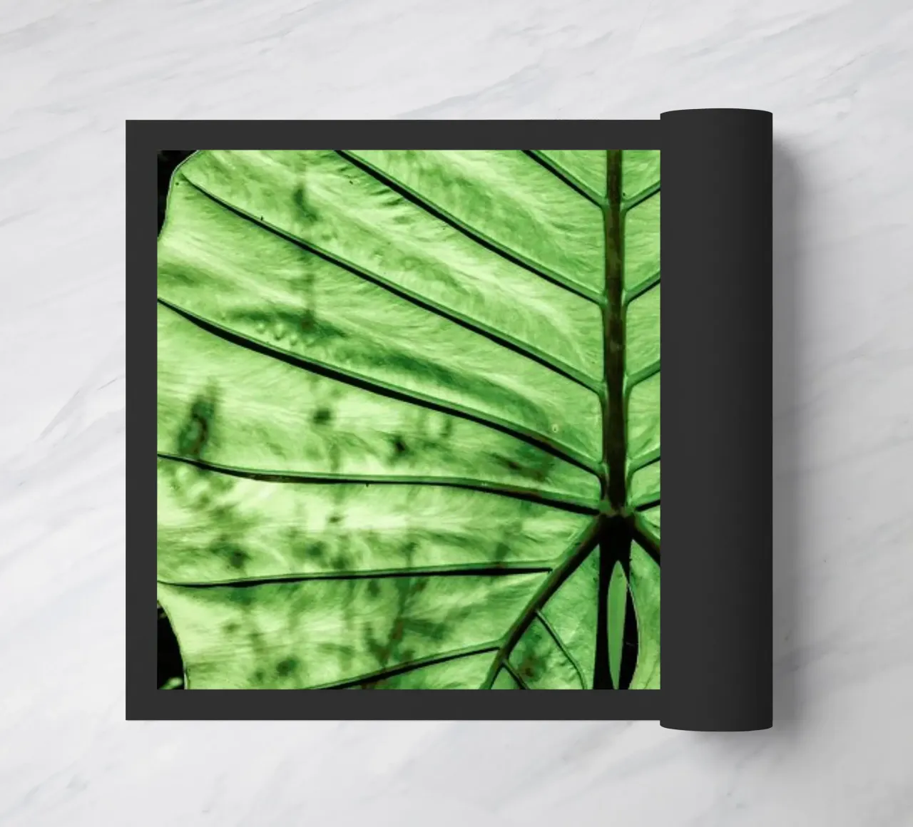 Lig zerbino da Shot By Clint