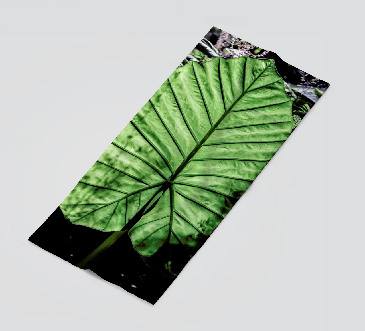 Lig telo mare da Shot By Clint