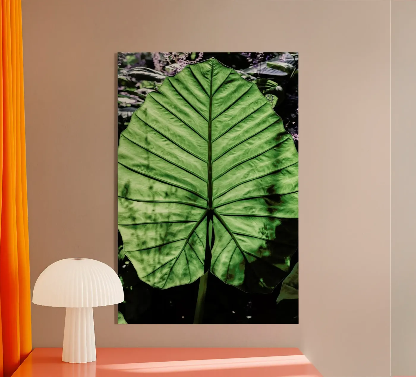 Lig plexiglas de Shot By Clint