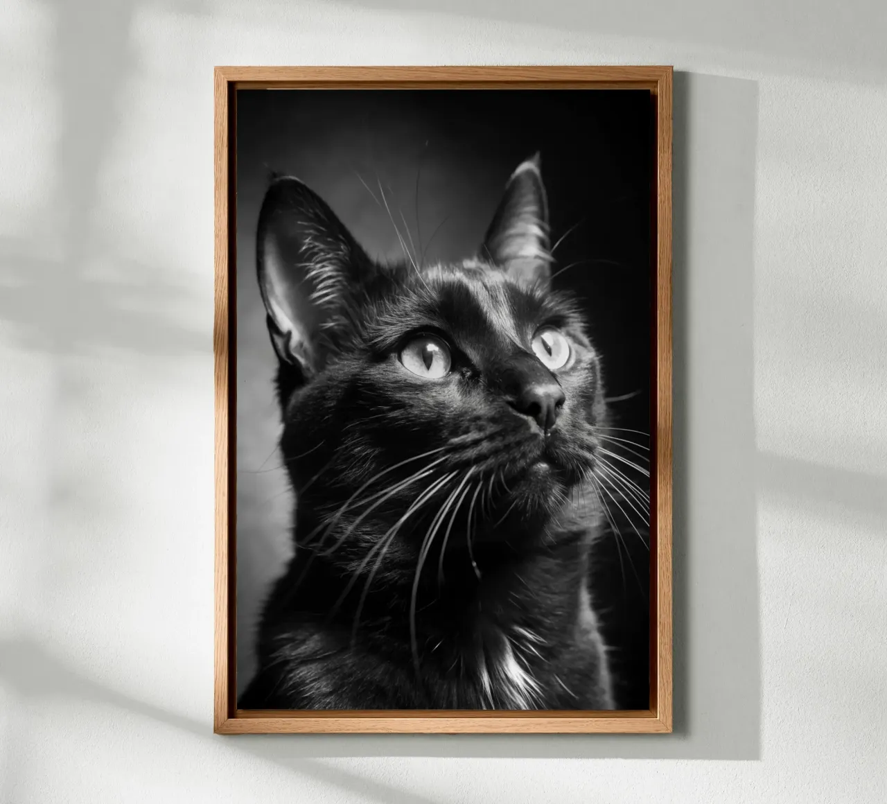 gatto fotografia animale in bianco e nero tela con Cornice a cassetta da kanayaa