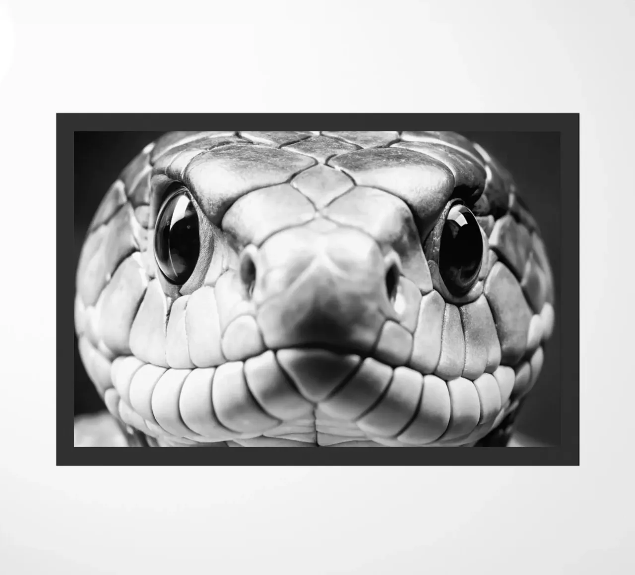 cobra snake face black and white animal photography doormat by kanayaa