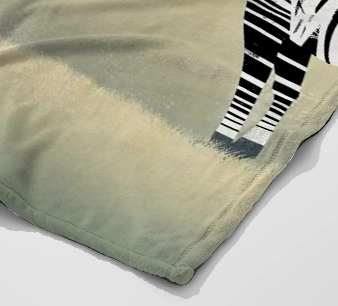 Zebra Fleecedecke von Dieter Braun