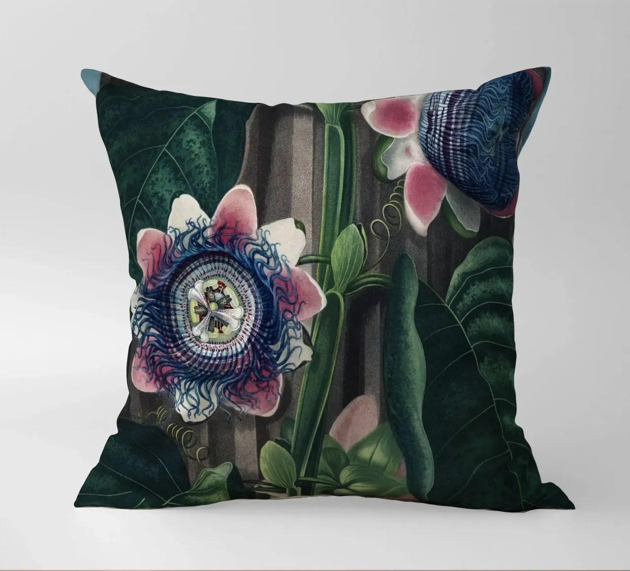 Vintage Thornton 4 Quadrangular Passion cuscino da Vintage Print Collection