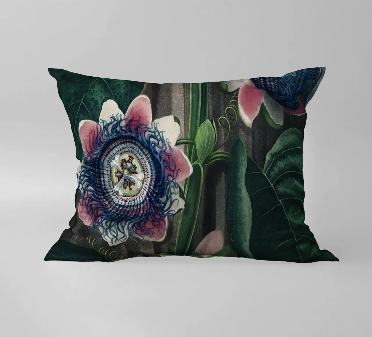Vintage Thornton 4 Quadrangular Passion cuscino da Vintage Print Collection