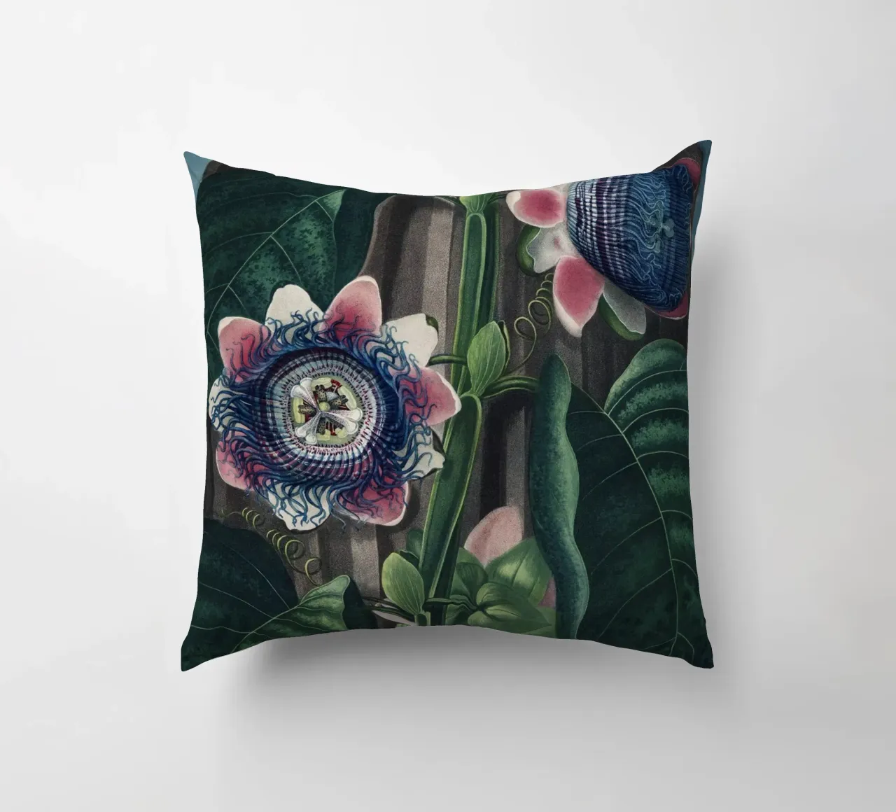 Vintage Thornton 4 Quadrangular Passion cuscino da Vintage Print Collection