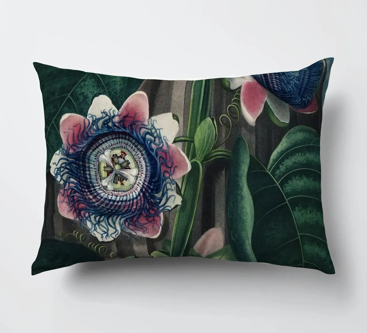 Vintage Thornton 4 Quadrangular Passion cuscino da Vintage Print Collection