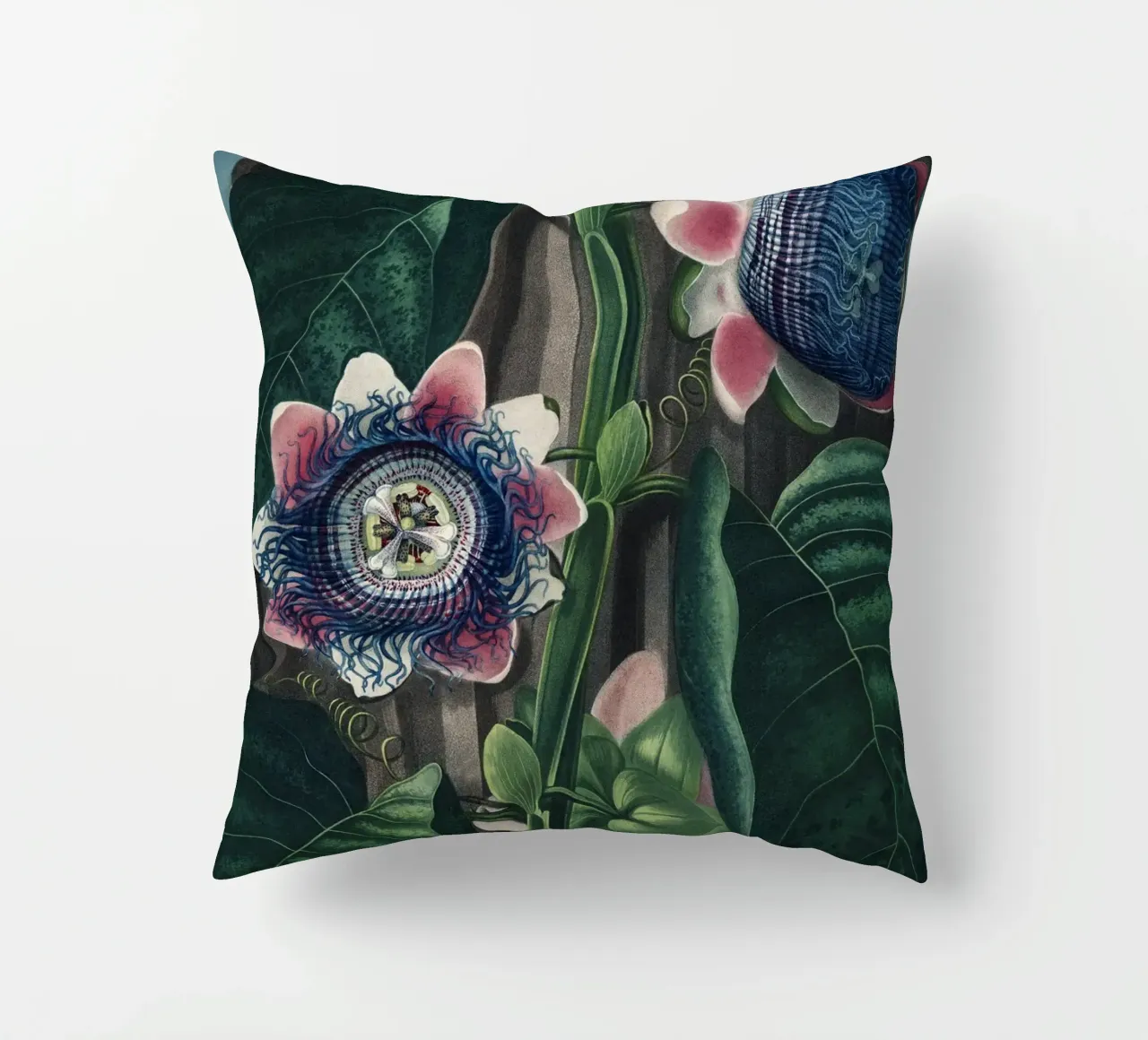 Vintage Thornton 4 Quadrangular Passion cuscino da Vintage Print Collection
