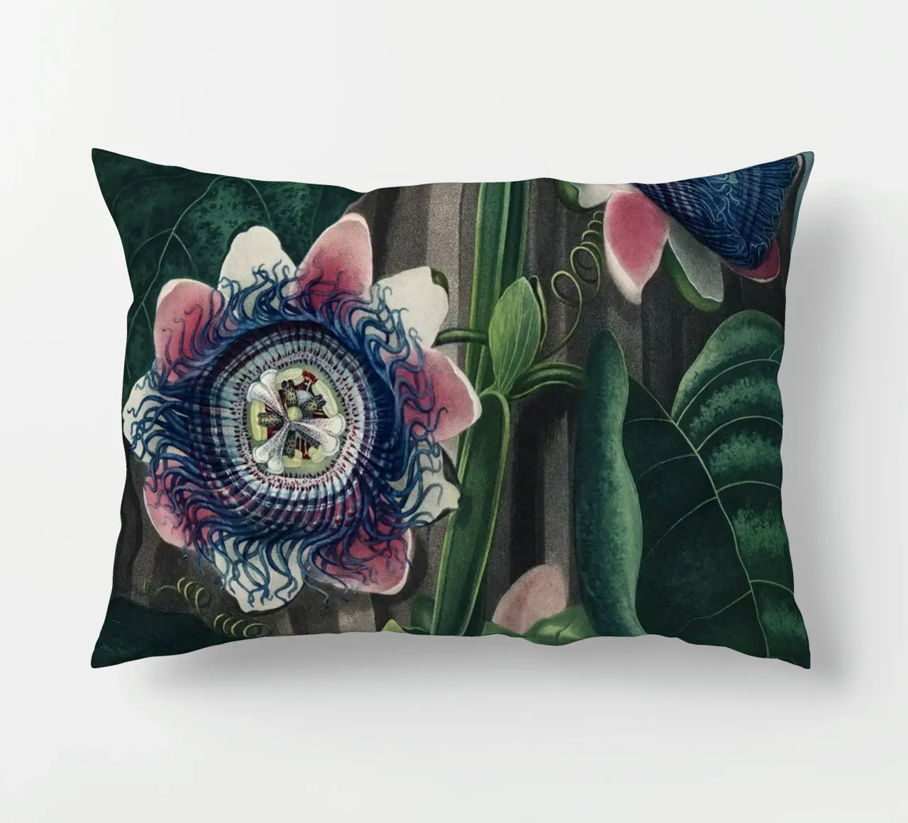 Vintage Thornton 4 Quadrangular Passion cuscino da Vintage Print Collection