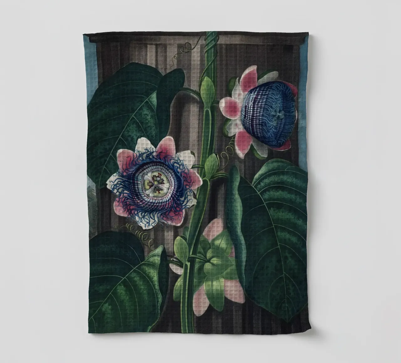Vintage Thornton 4 Quadrangular Passion canovaccio da cucina da Vintage Print Collection