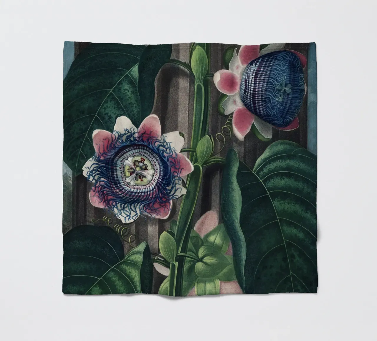 Vintage Thornton 4 Quadrangular Passion coperta in pile da Vintage Print Collection