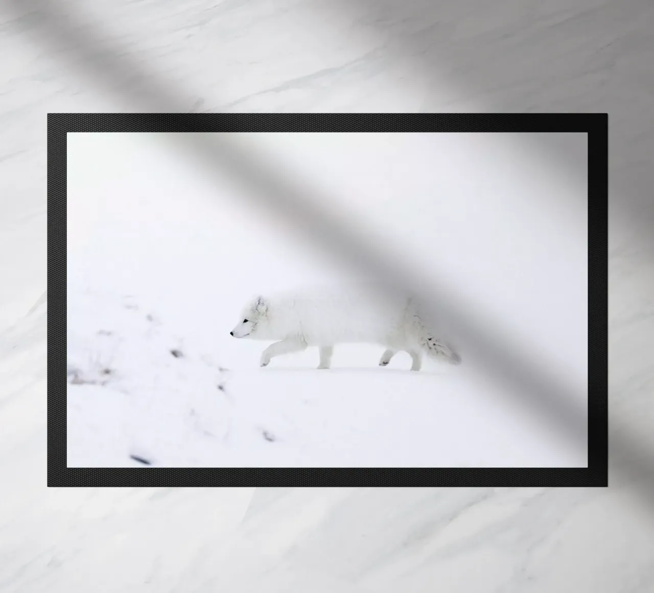 Lone Explorer zerbino da EyeEm Mobile GmbH