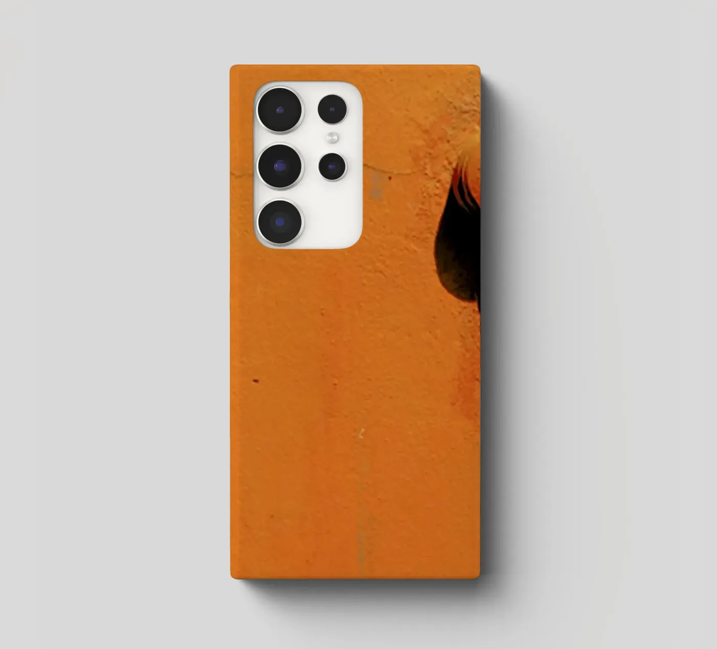 22 cover samsung da Ballack Art House