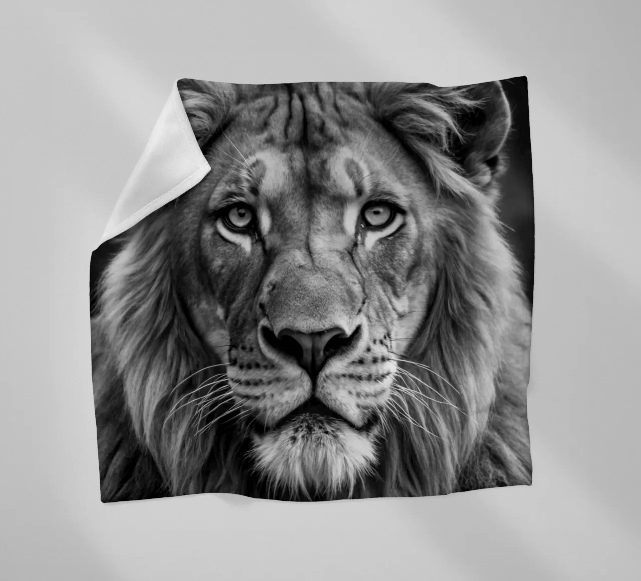 lion face black and white animal photography fleece blanket by kanayaa