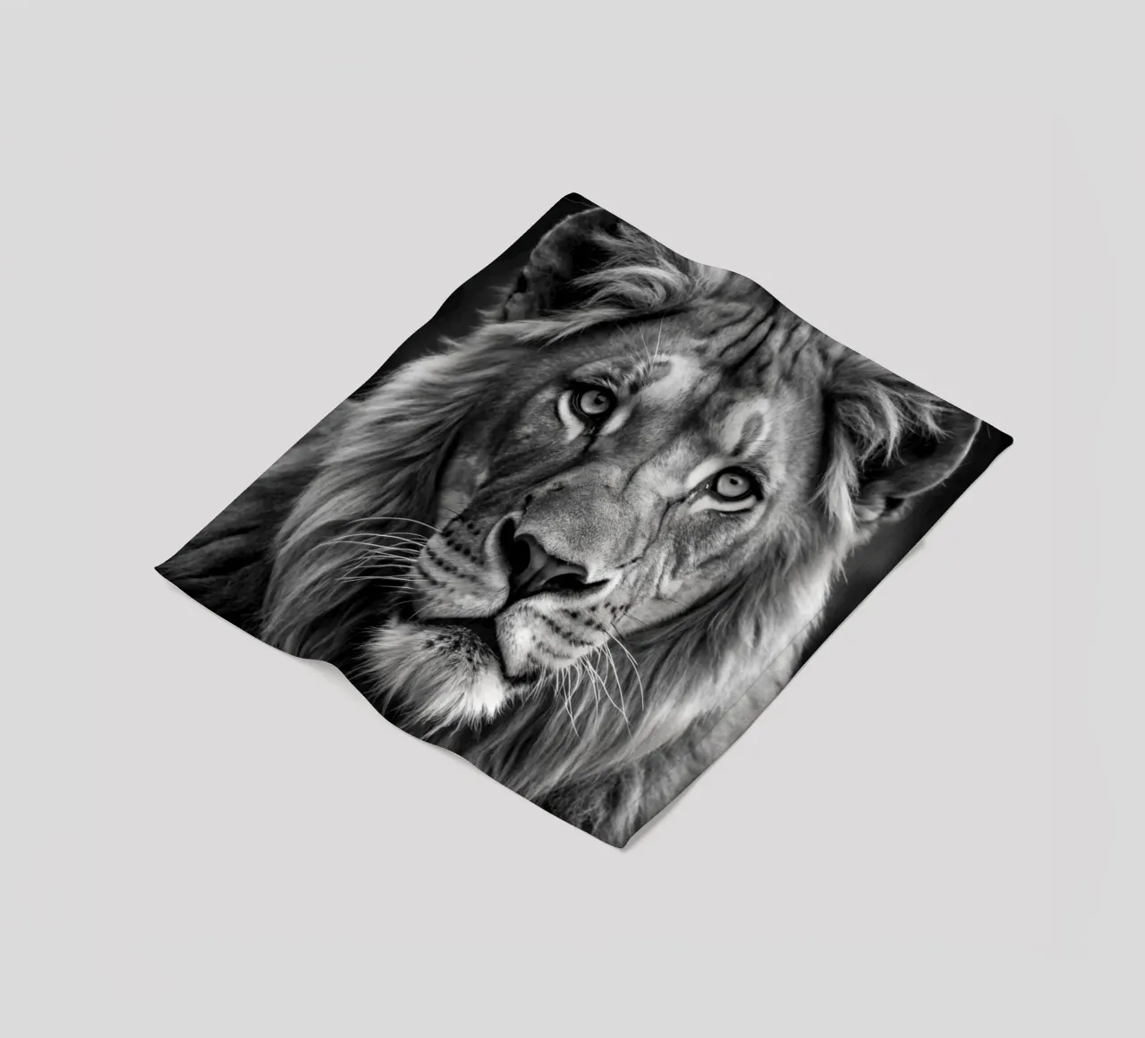 lion face black and white animal photography fleece blanket by kanayaa