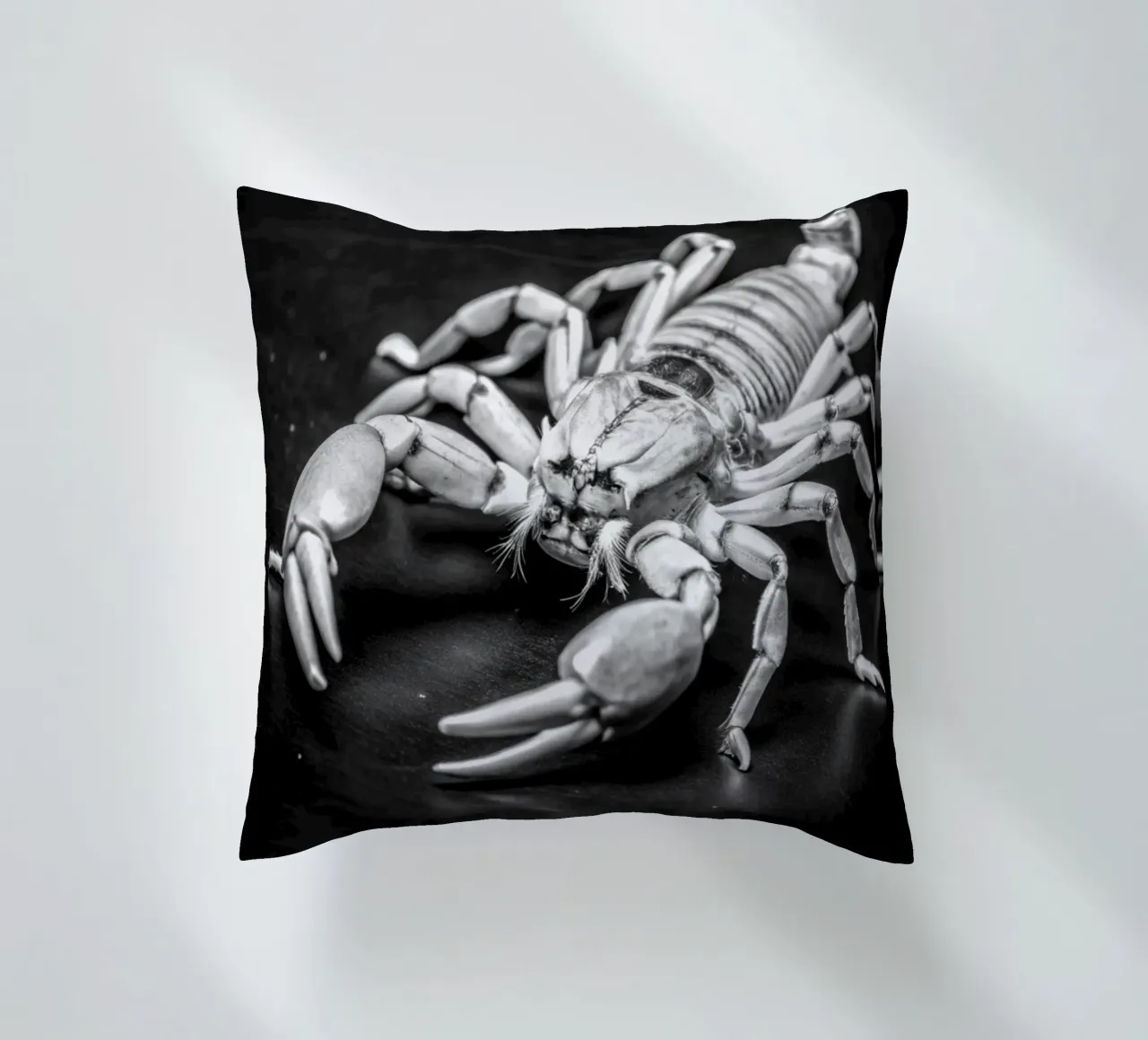 faccia di scorpione fotografia animale in bianco e nero cuscino da kanayaa