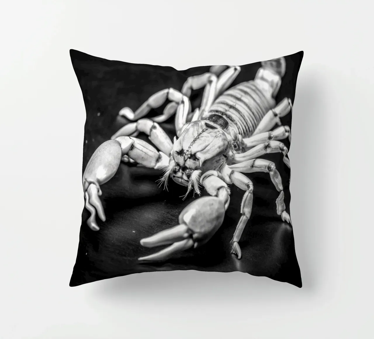 faccia di scorpione fotografia animale in bianco e nero cuscino da kanayaa
