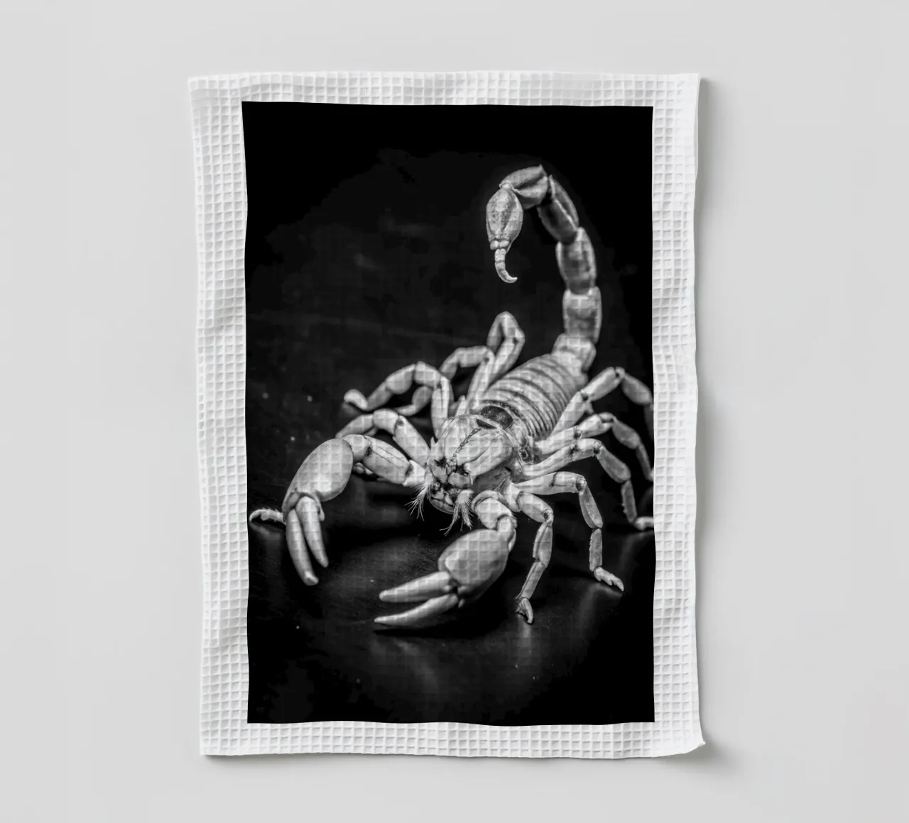 visage de scorpion noir et blanc photographie d'animaux torchon de kanayaa