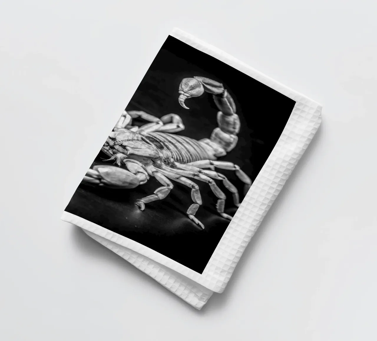 visage de scorpion noir et blanc photographie d'animaux torchon de kanayaa