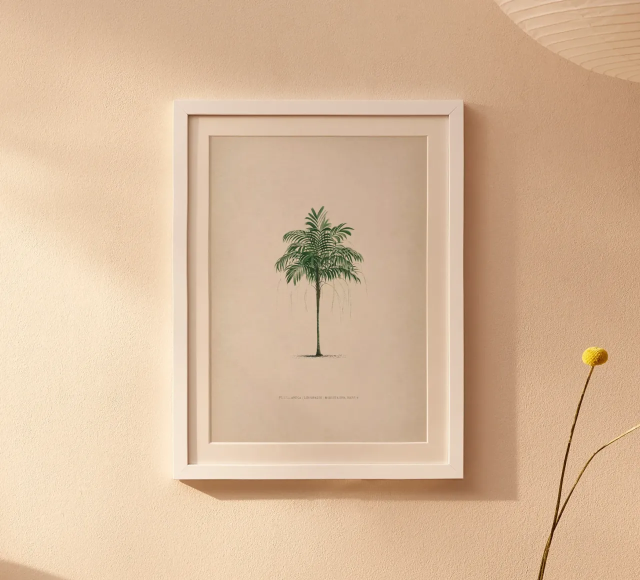 Vintage Kerchove 3 Les Palmiers 2 poster con telaio in plastica da Vintage Print Collection