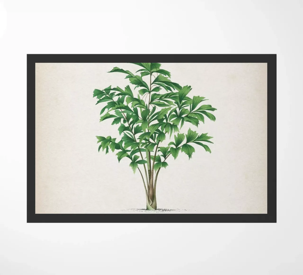 Vintage Kerchove 3 Les Palmiers 21 doormat by Vintage Print Collection