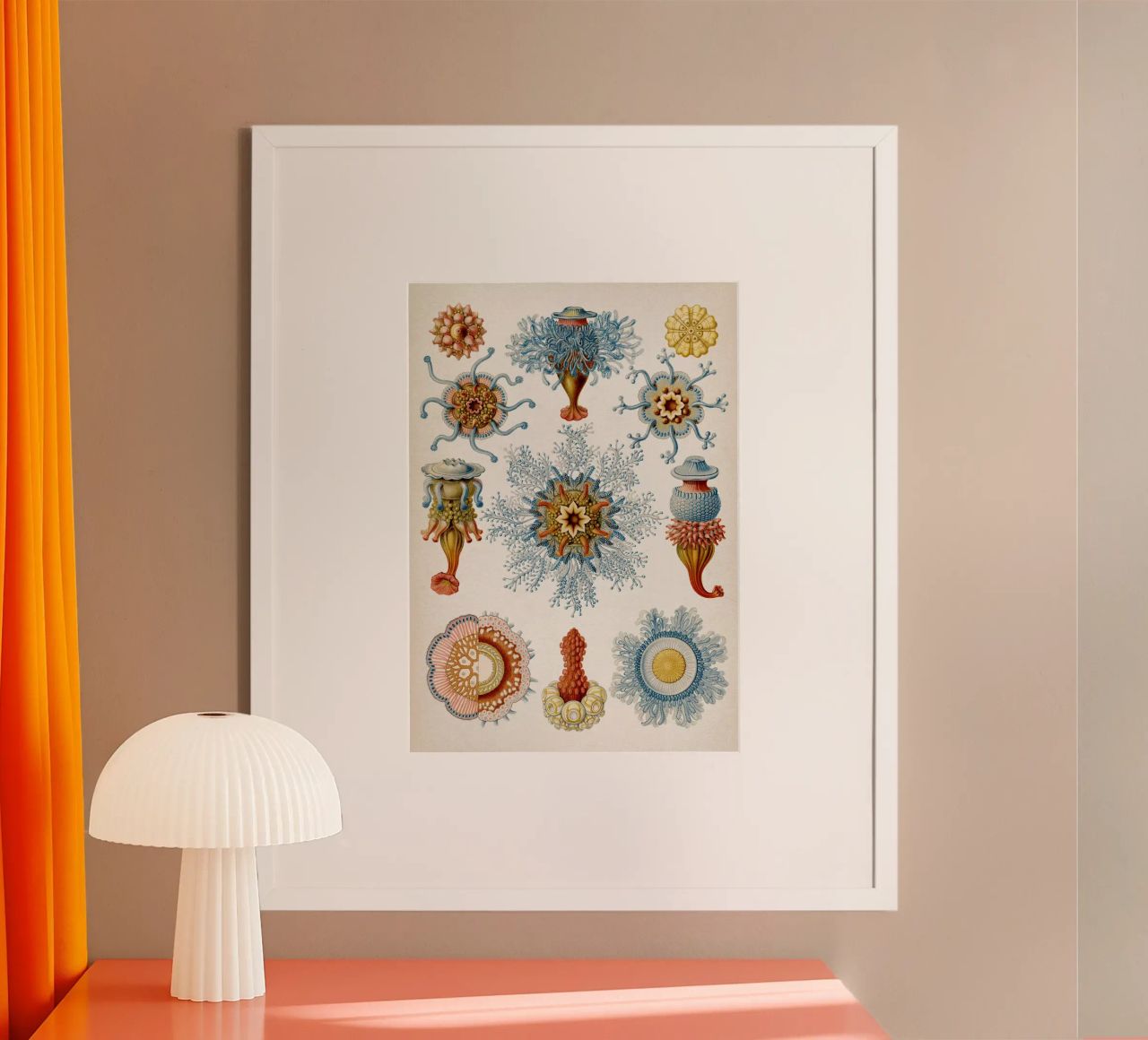 Vintage Haeckel 2 Tafel 17 Staatsquallen poster de Vintage Print Collection