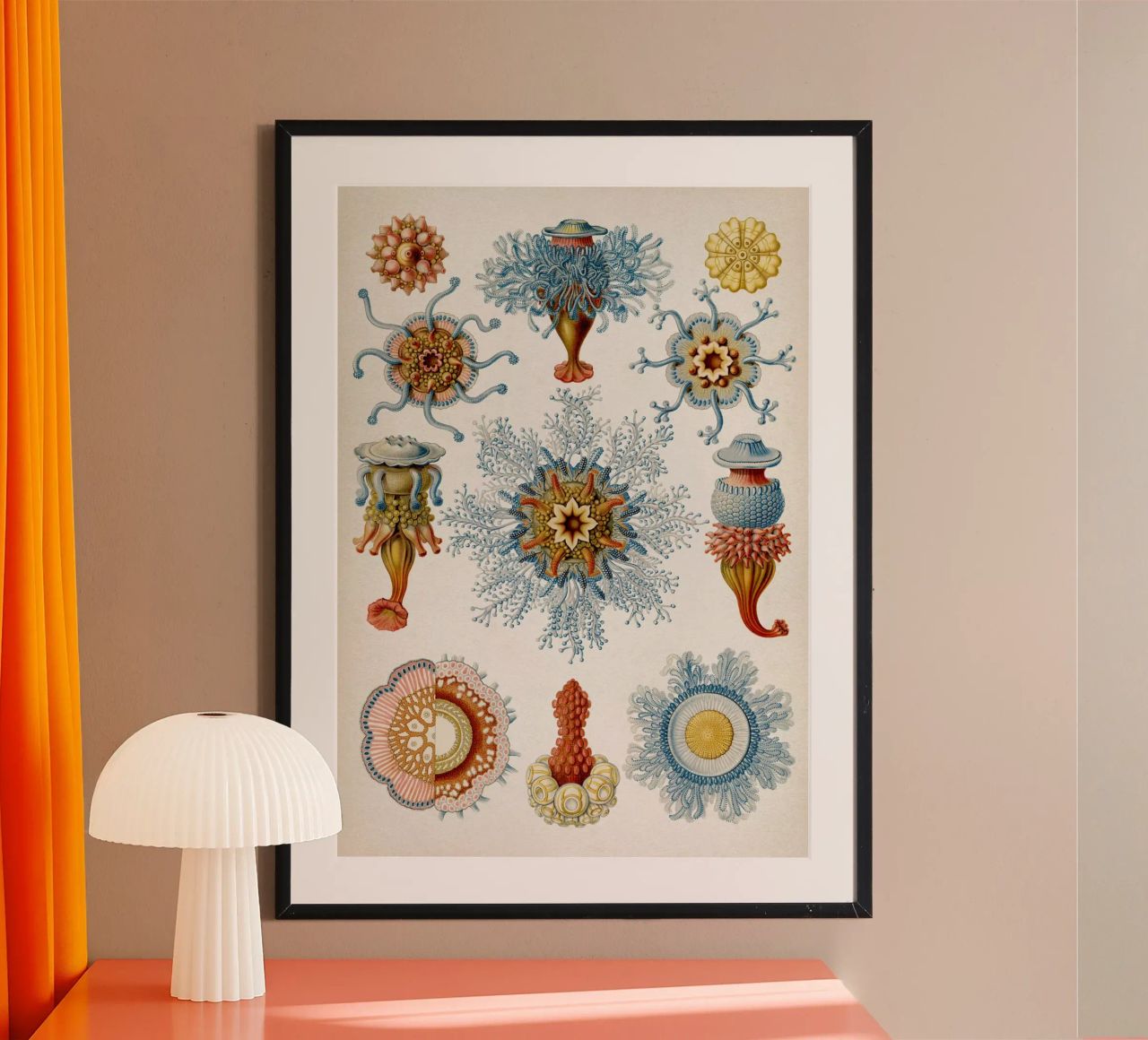 Vintage Haeckel 2 Tafel 17 Staatsquallen poster de Vintage Print Collection