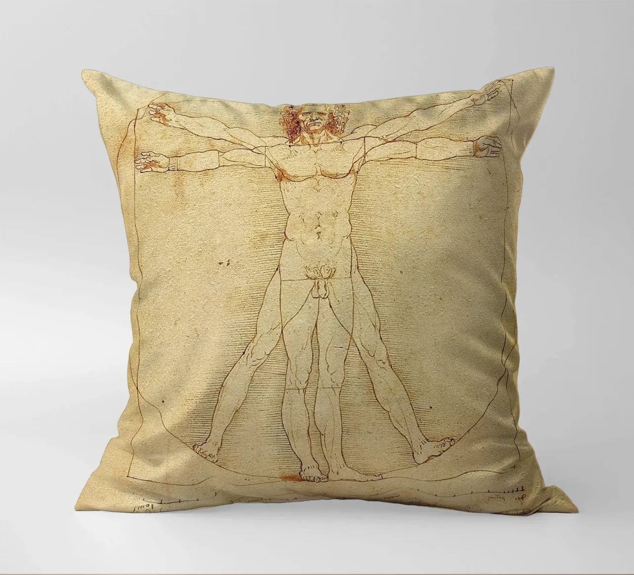 Vitruvian Man -  Leonardo da Vinci cuscino da apoloprints