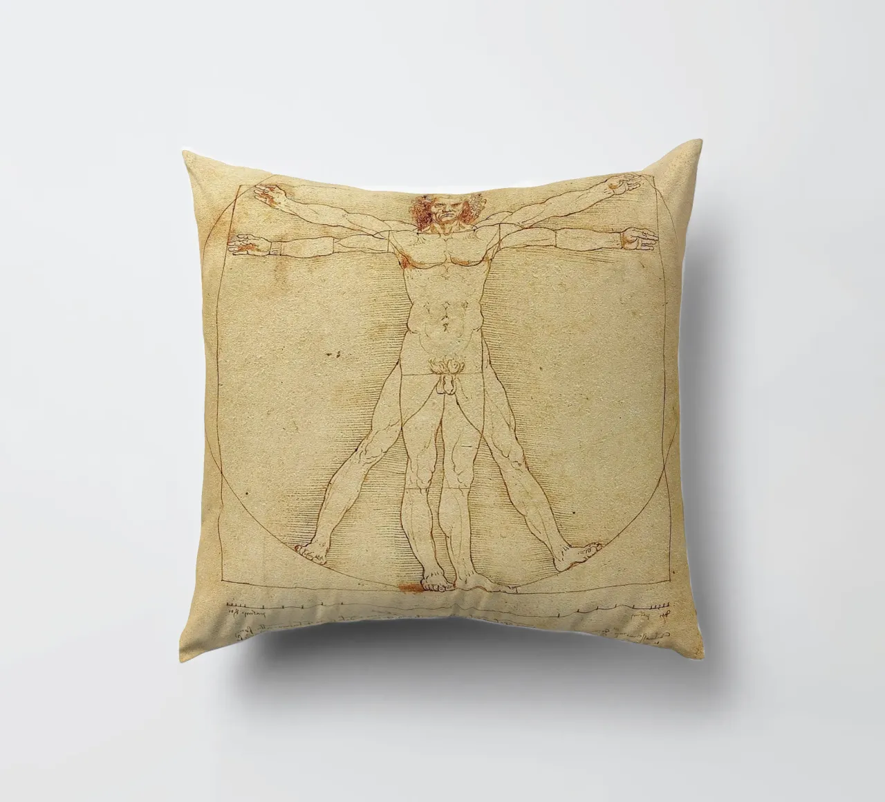 Vitruvian Man -  Leonardo da Vinci cuscino da apoloprints