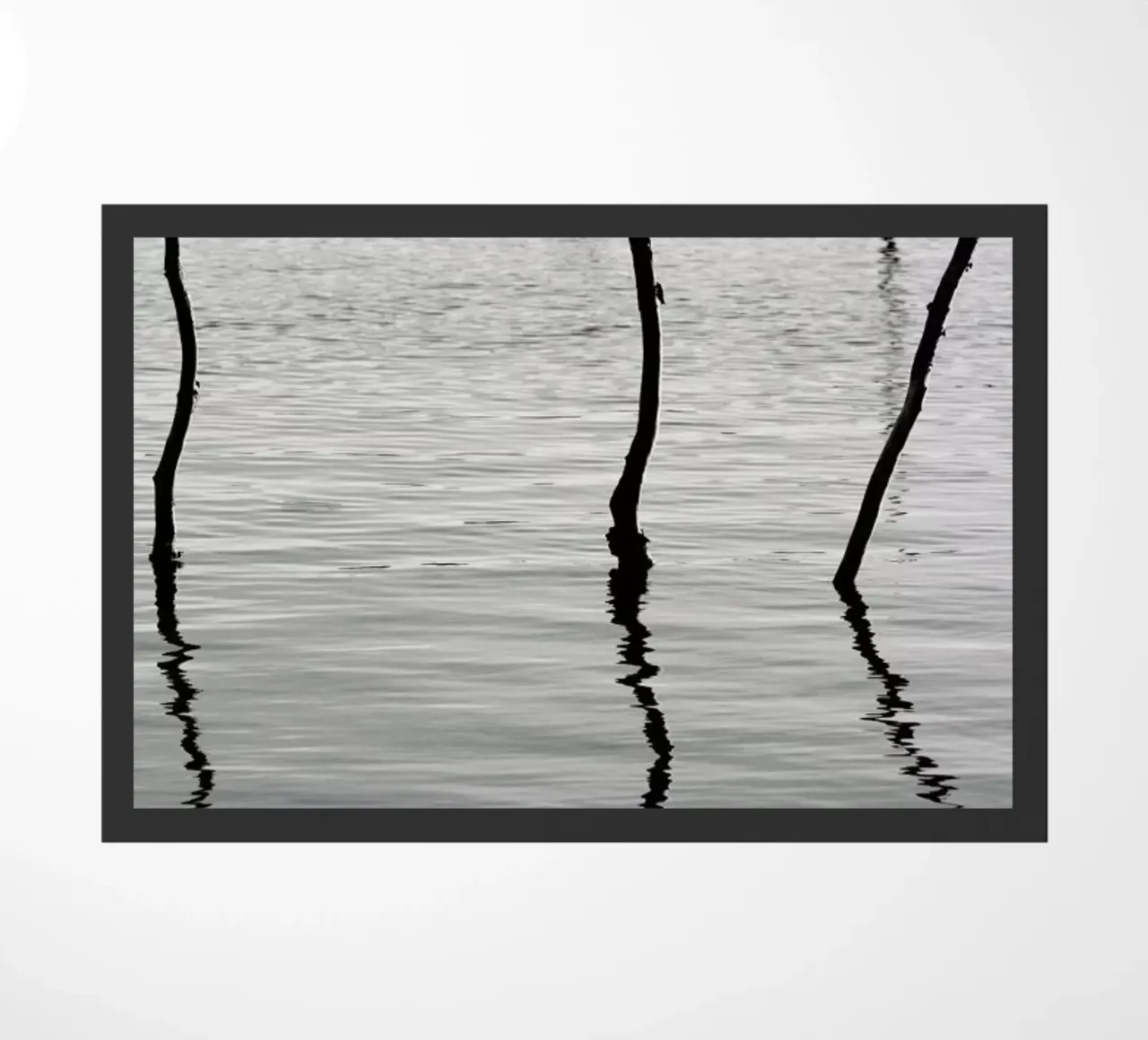 Reflect zerbino da Shot By Clint