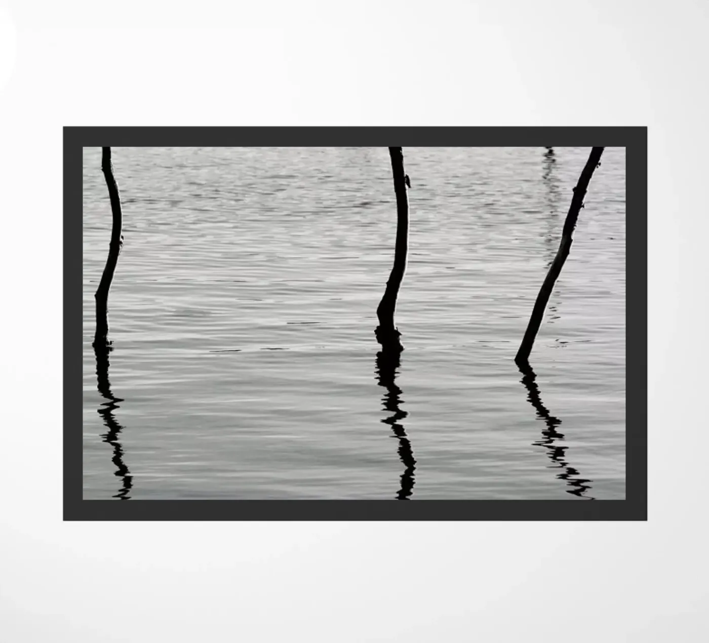 Reflect zerbino da Shot By Clint